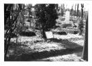 Communal cemetery in Brzeszcze